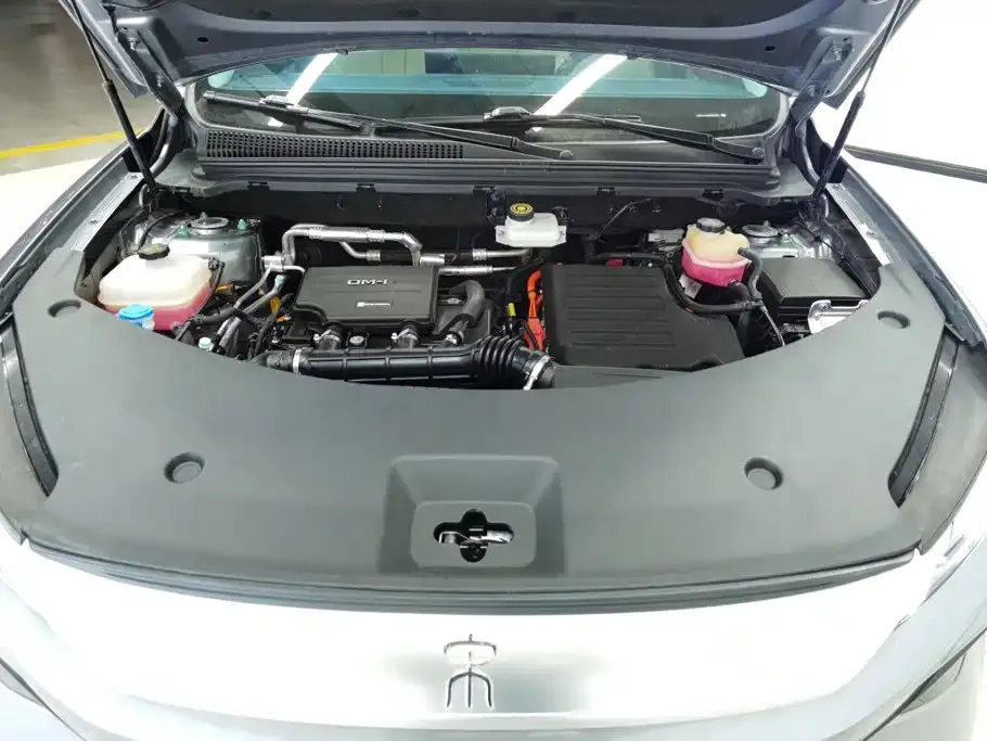 BYD Pro New Energy — фото 5