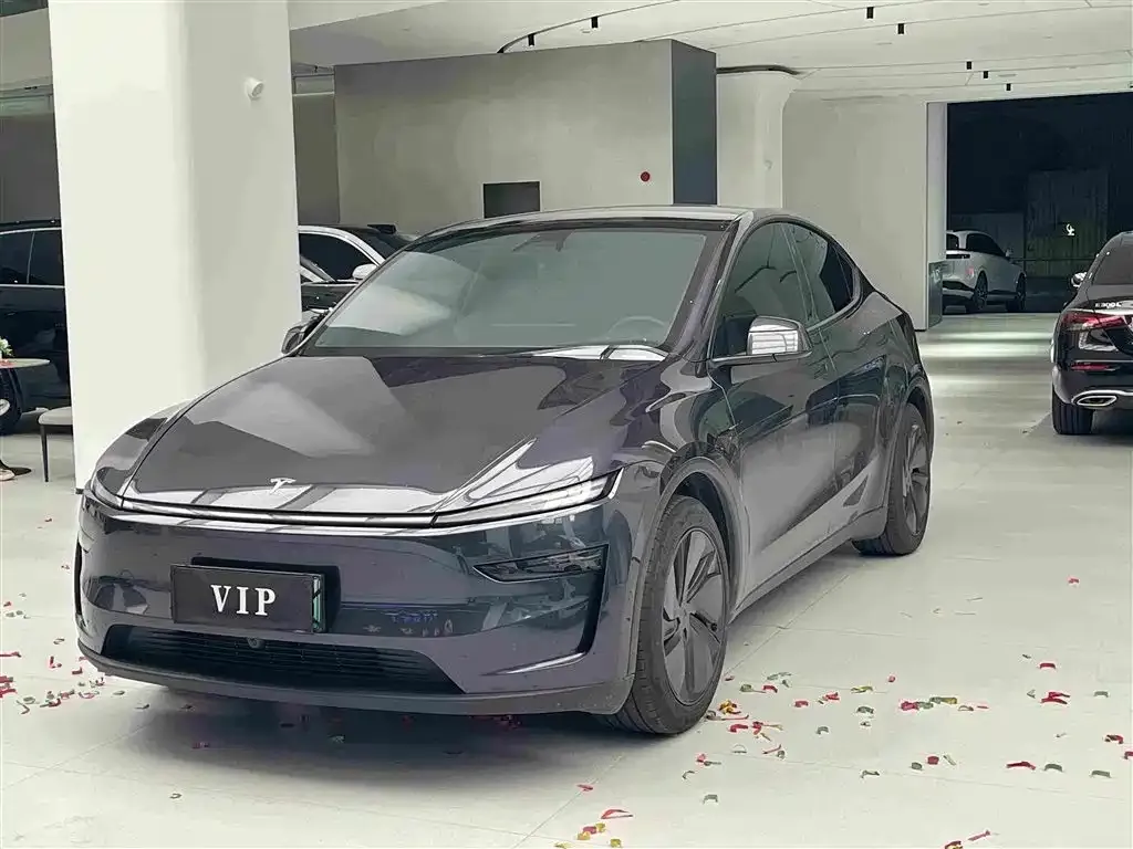 Tesla Model Y — фото 1