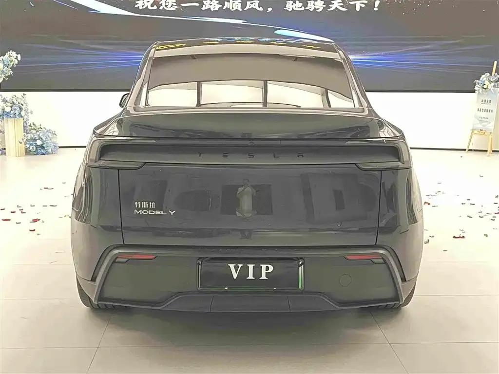 Tesla Model Y — фото 2