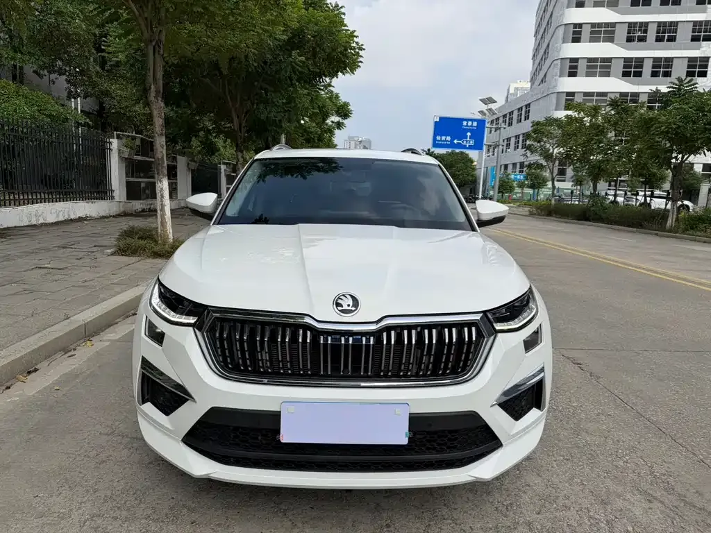 Skoda Kodiaq — фото 10