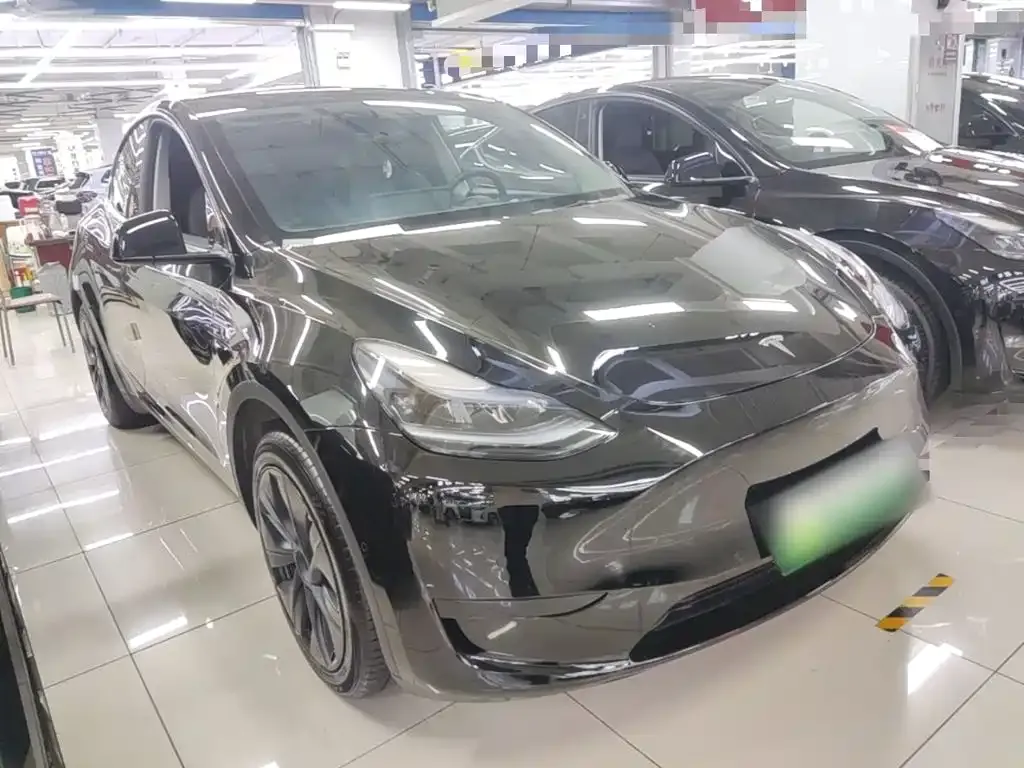Tesla Model Y — фото 3