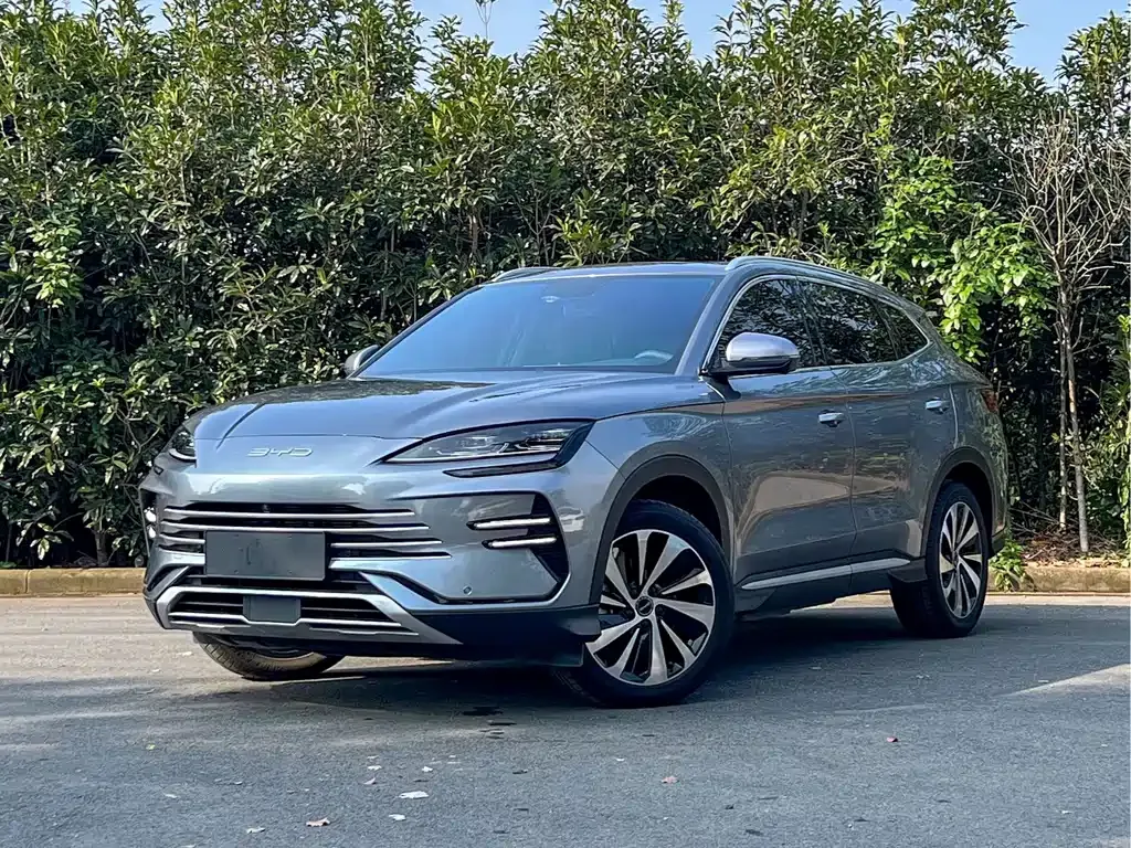 BYD PLUS New Energy — фото 1