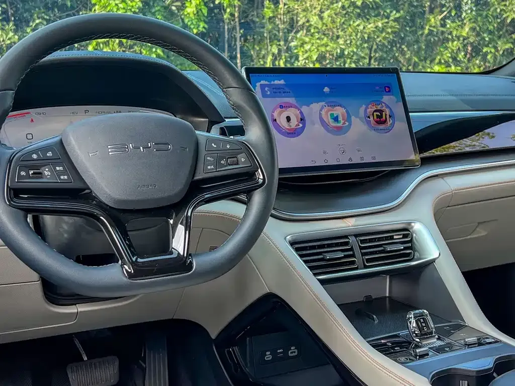 BYD PLUS New Energy — фото 10