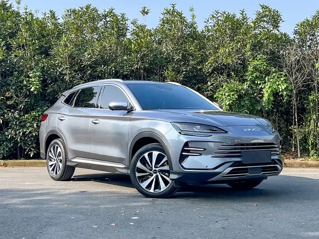 BYD PLUS New Energy — фото 5