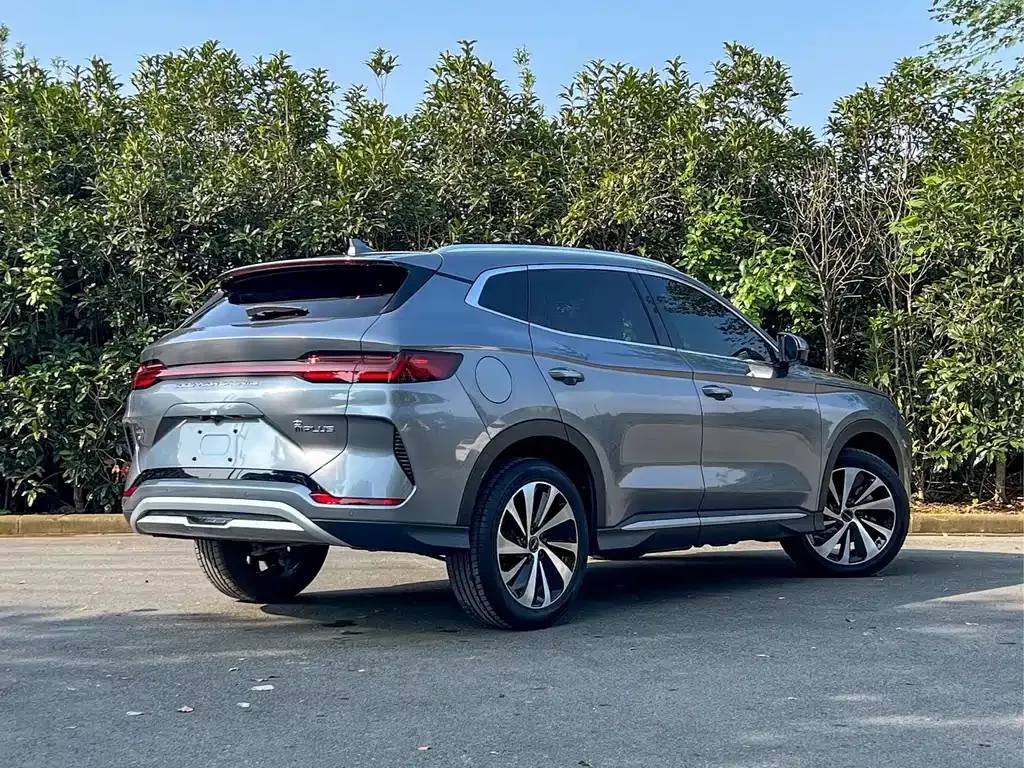 BYD PLUS New Energy — фото 3