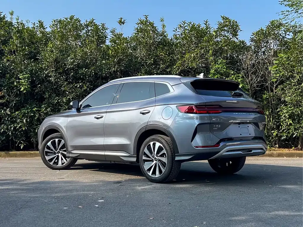 BYD PLUS New Energy — фото 7