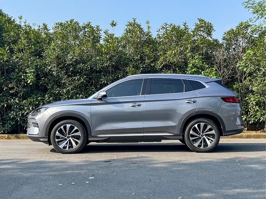 BYD PLUS New Energy — фото 8