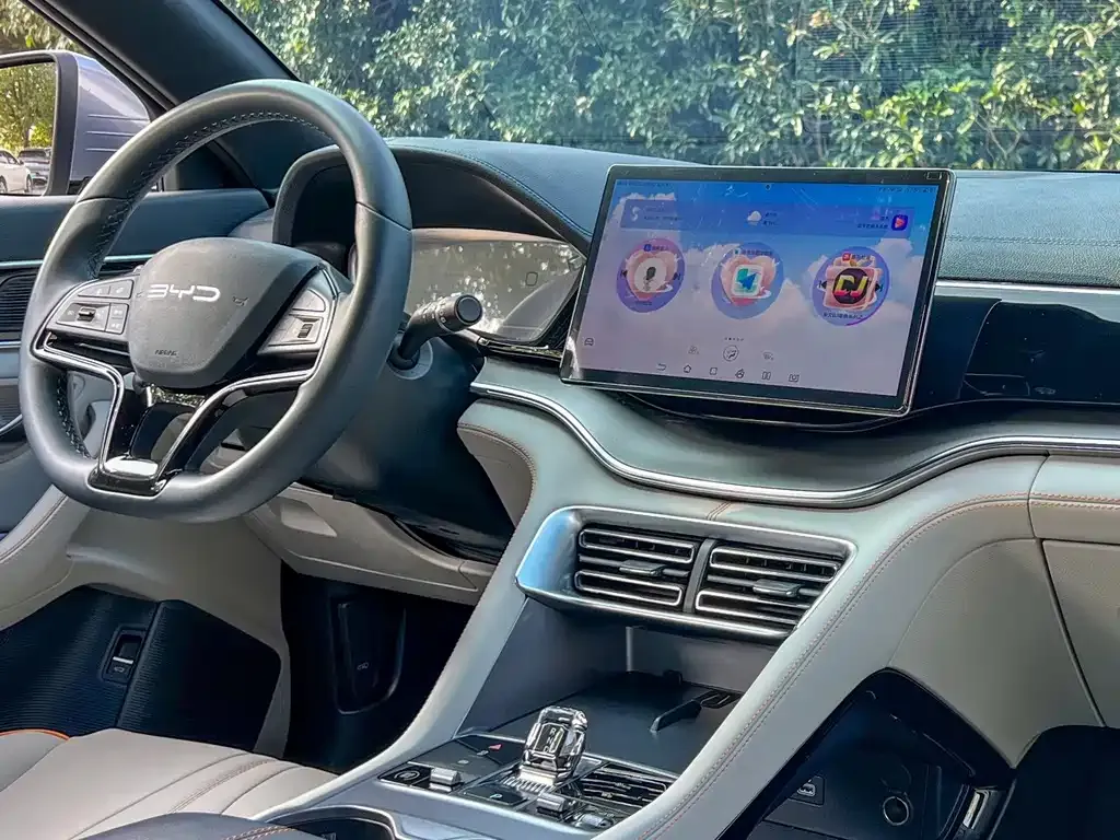 BYD PLUS New Energy — фото 4