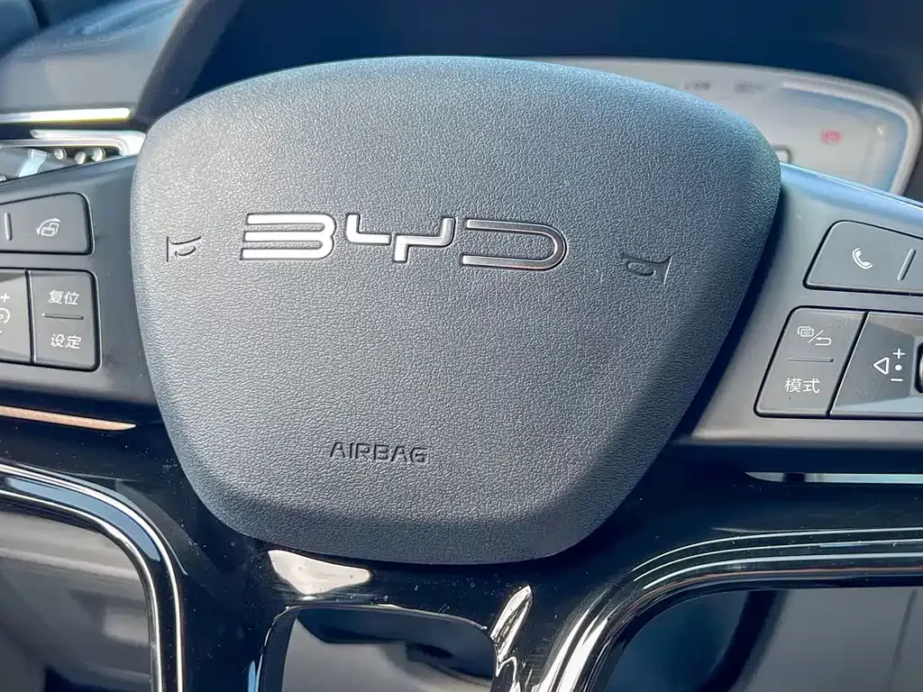 BYD PLUS New Energy — фото 9