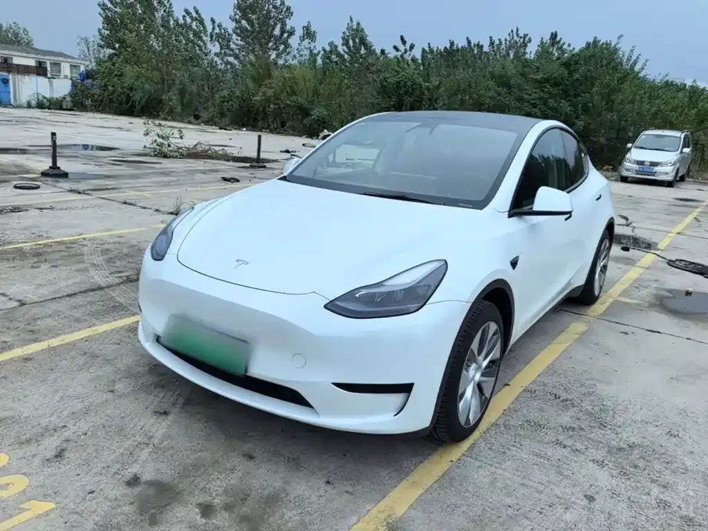 Tesla Model Y — фото 1