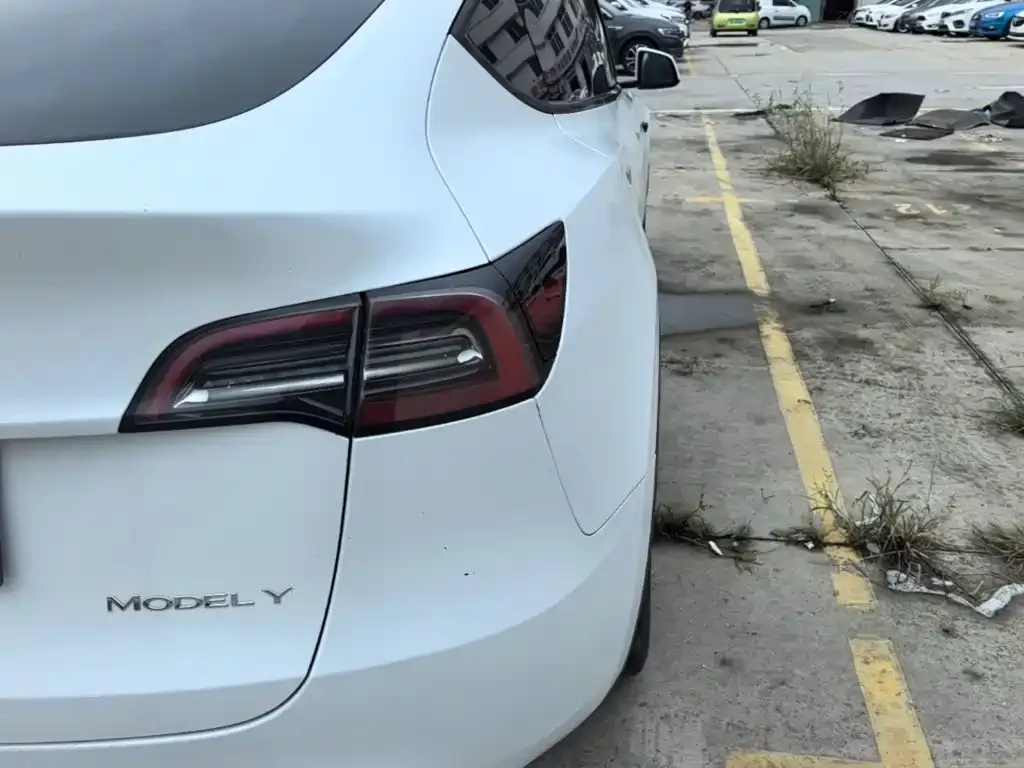Tesla Model Y — фото 4