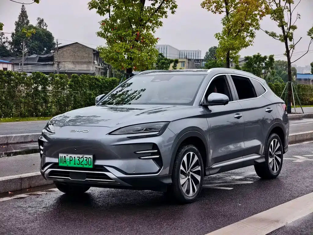 BYD PLUS New Energy — фото 1