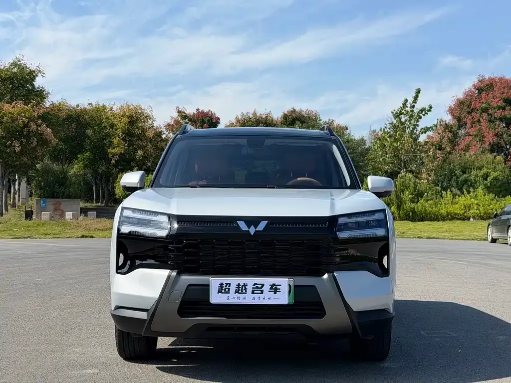 Wuling Xingguang 560 New Energy — фото 5