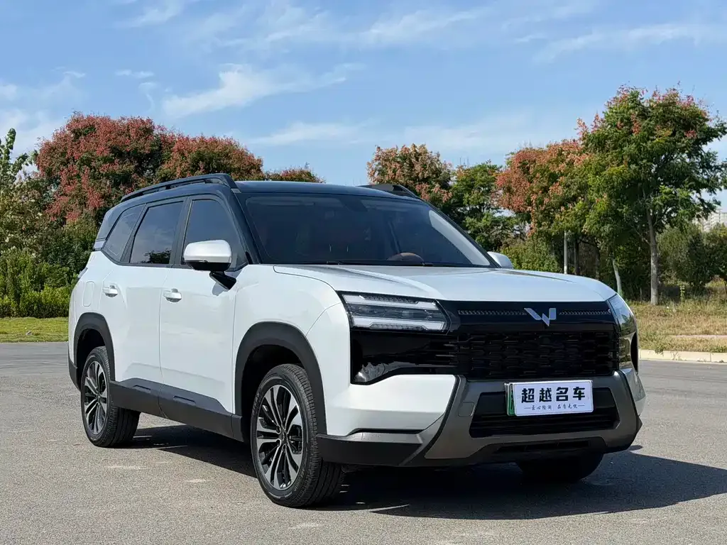 Wuling Xingguang 560 New Energy — фото 8