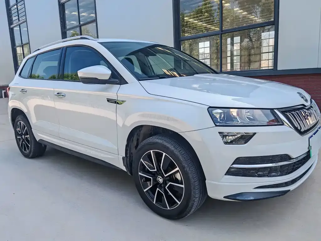 Skoda Karoq — фото 7