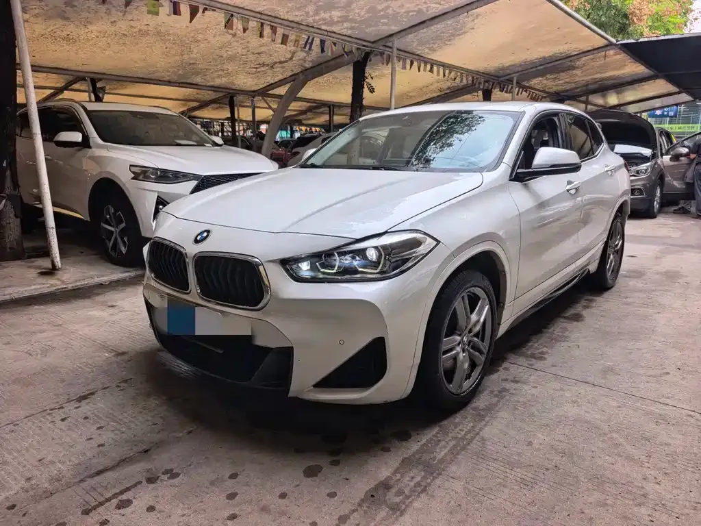 BMW X2 — фото 1