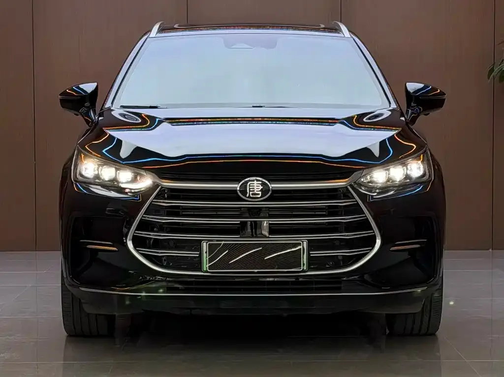 BYD Tang New Energy — фото 10