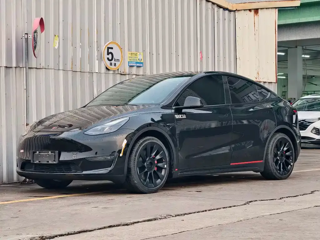 Tesla Model Y — фото 1