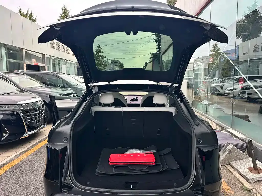 Tesla Model Y — фото 5