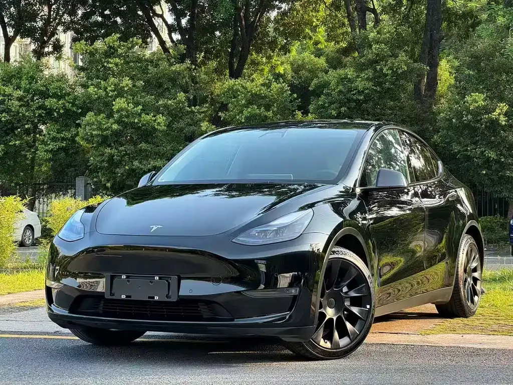 Tesla Model Y — фото 1