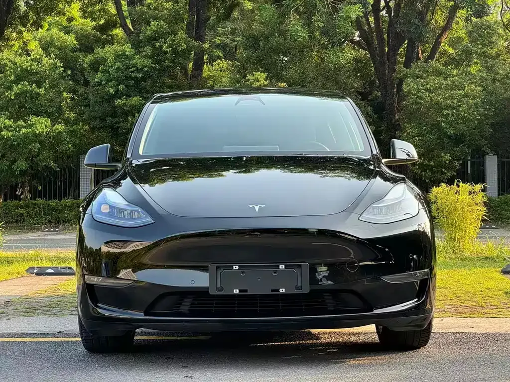 Tesla Model Y — фото 10