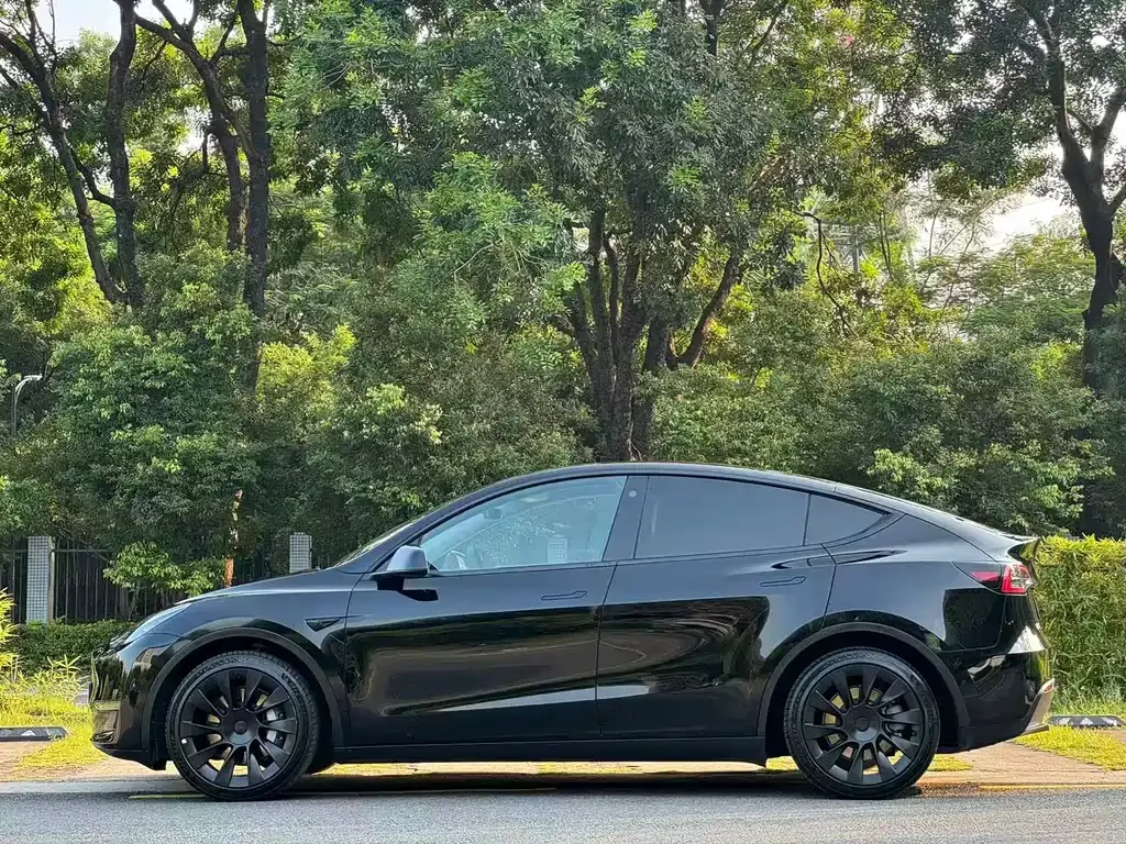 Tesla Model Y — фото 8