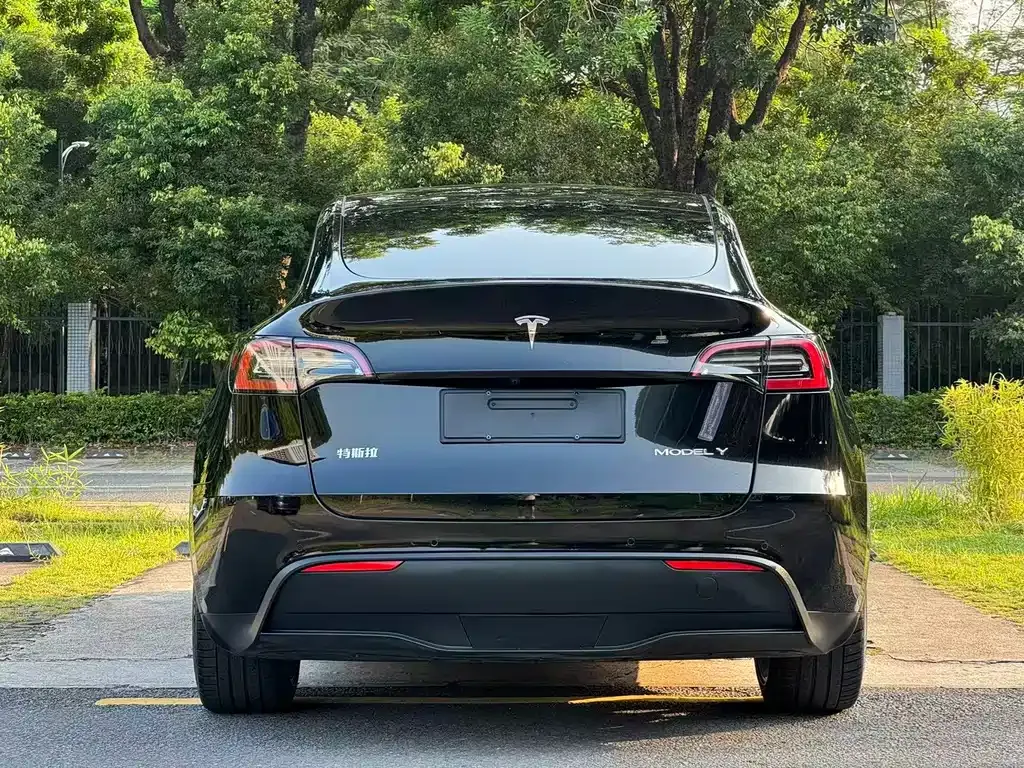 Tesla Model Y — фото 9