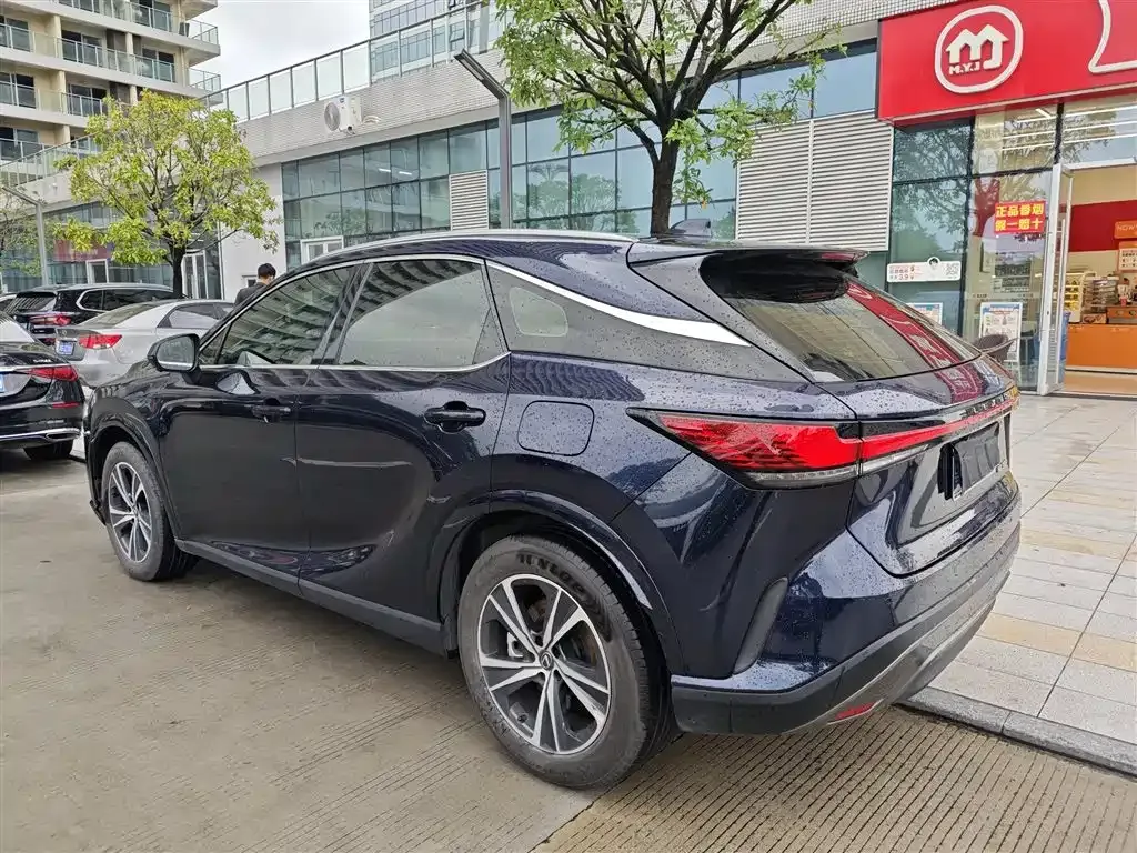 Lexus RX — фото 9