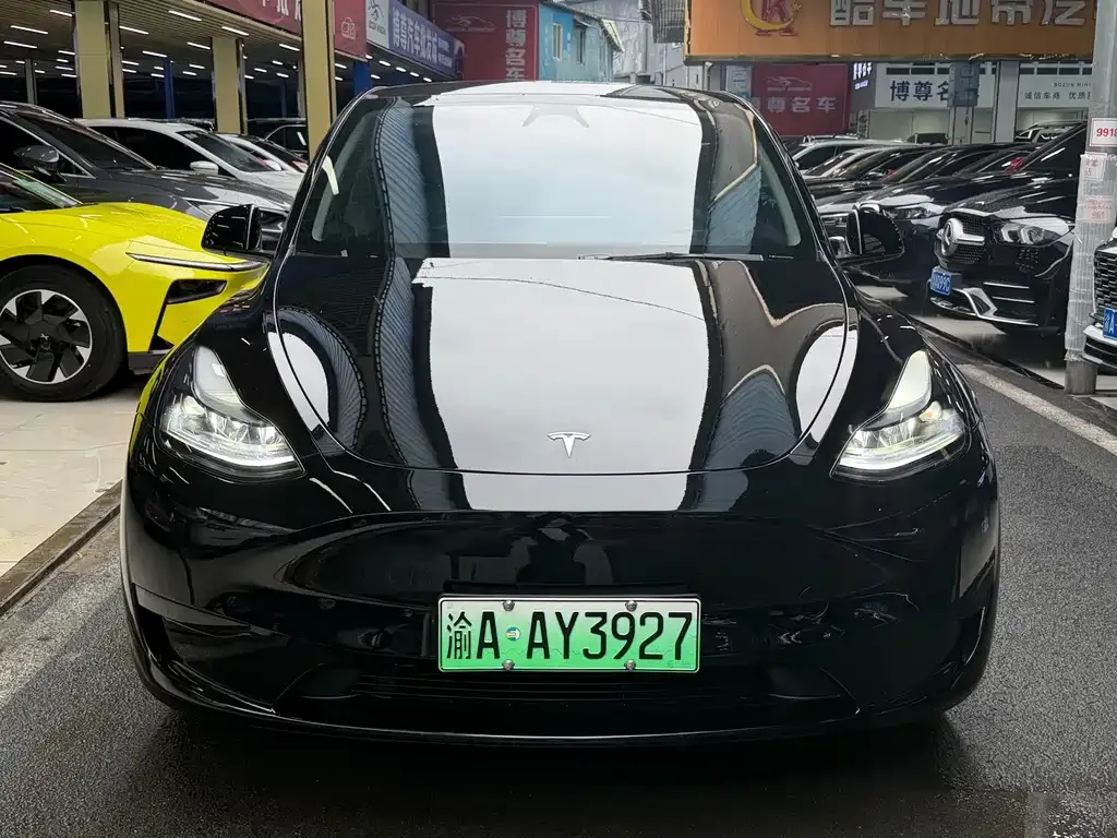 Tesla Model Y — фото 10