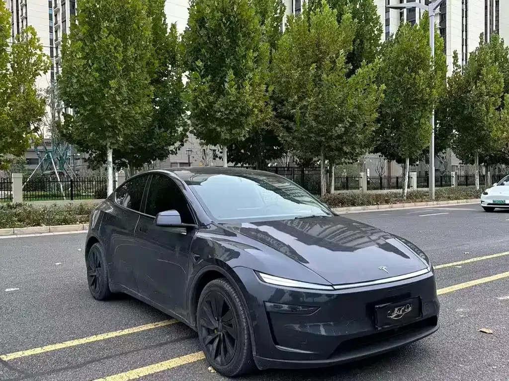 Tesla Model Y — фото 5