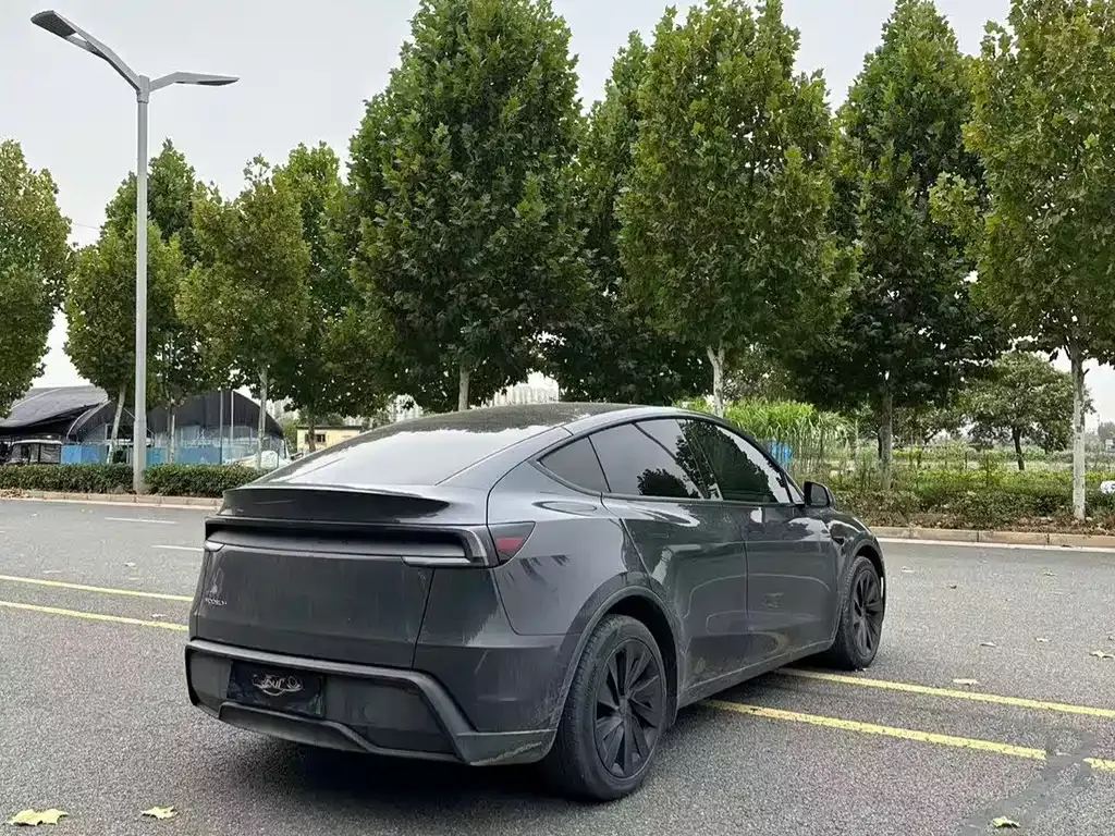 Tesla Model Y — фото 8