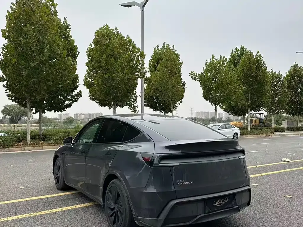 Tesla Model Y — фото 4