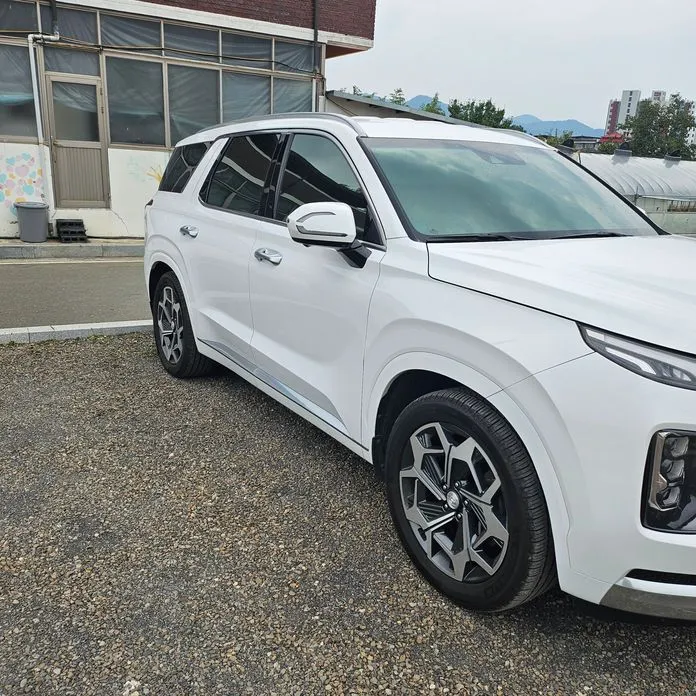 Hyundai Palisade — фото 1