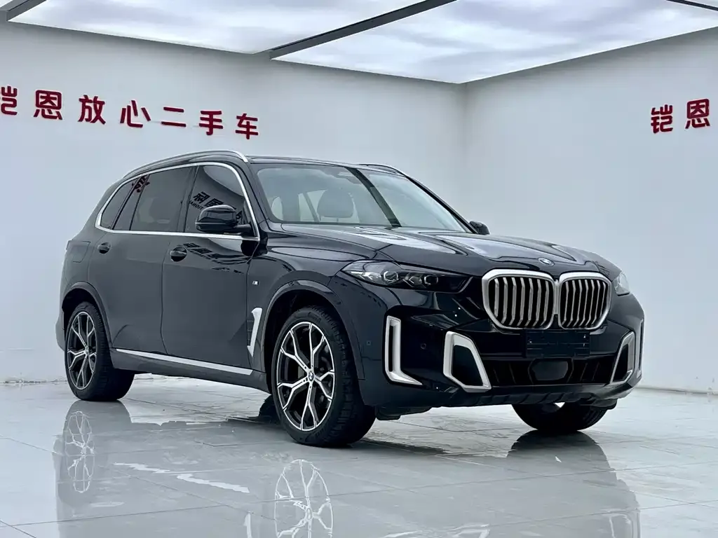 BMW X5 — фото 10