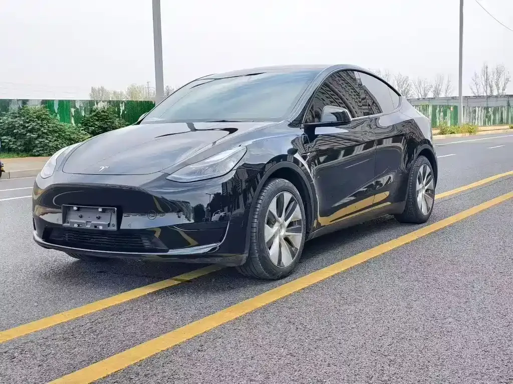 Tesla Model Y — фото 1
