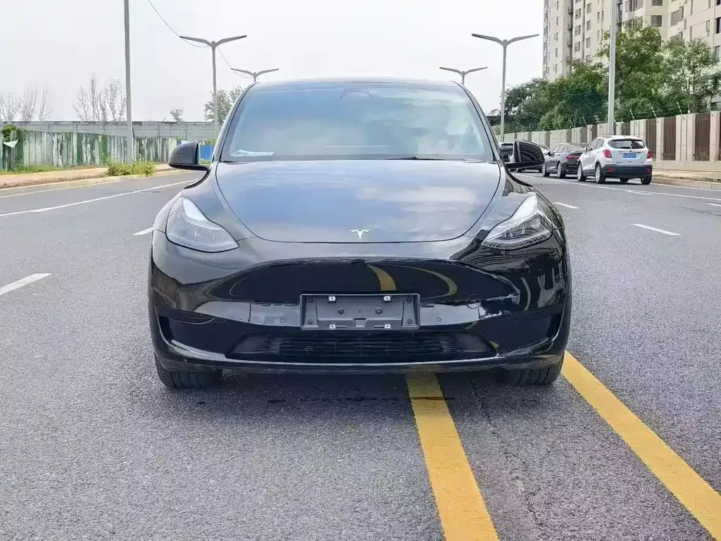 Tesla Model Y — фото 6