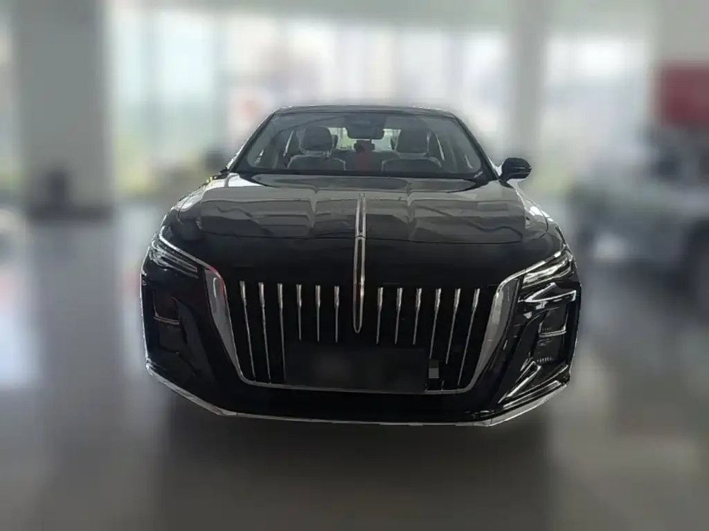 Hongqi H5 — фото 3