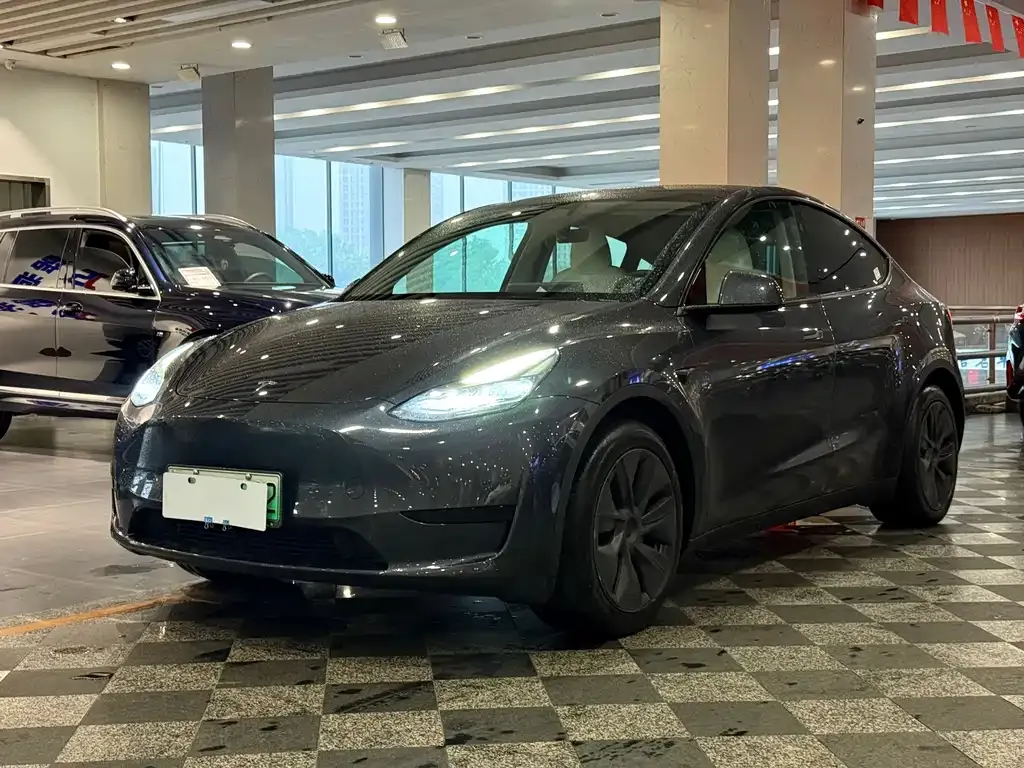 Tesla Model Y — фото 1