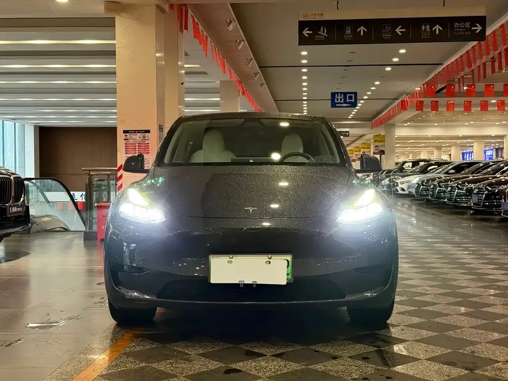 Tesla Model Y — фото 6