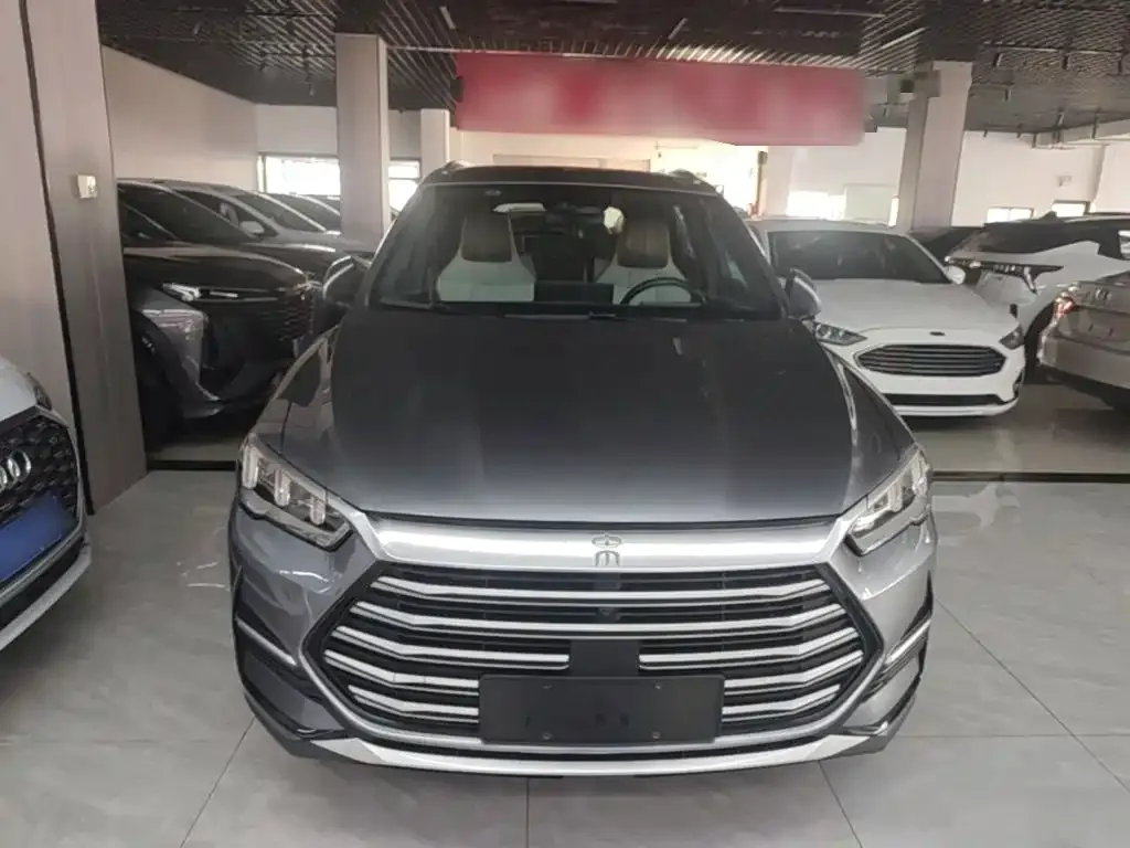 BYD Pro New Energy — фото 9