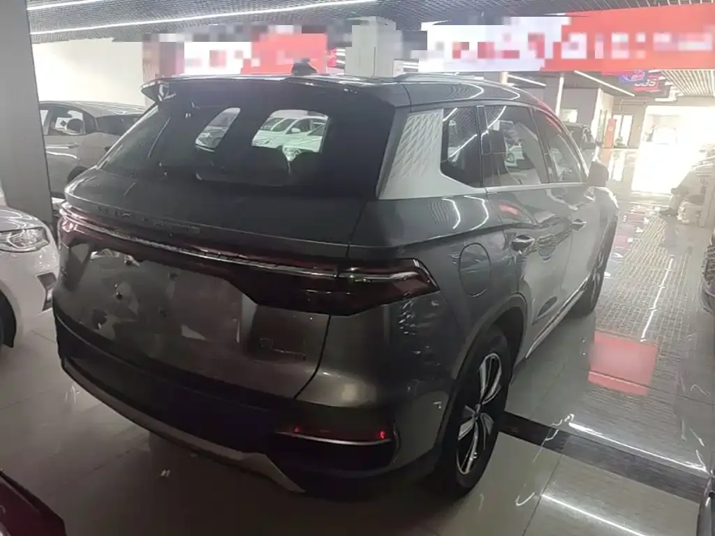 BYD Pro New Energy — фото 3