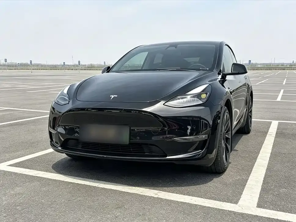 Tesla Model Y — фото 1