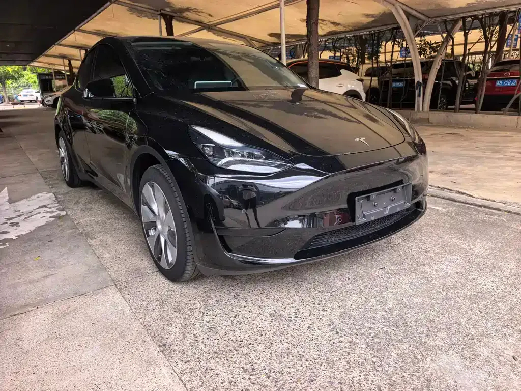 Tesla Model Y — фото 9
