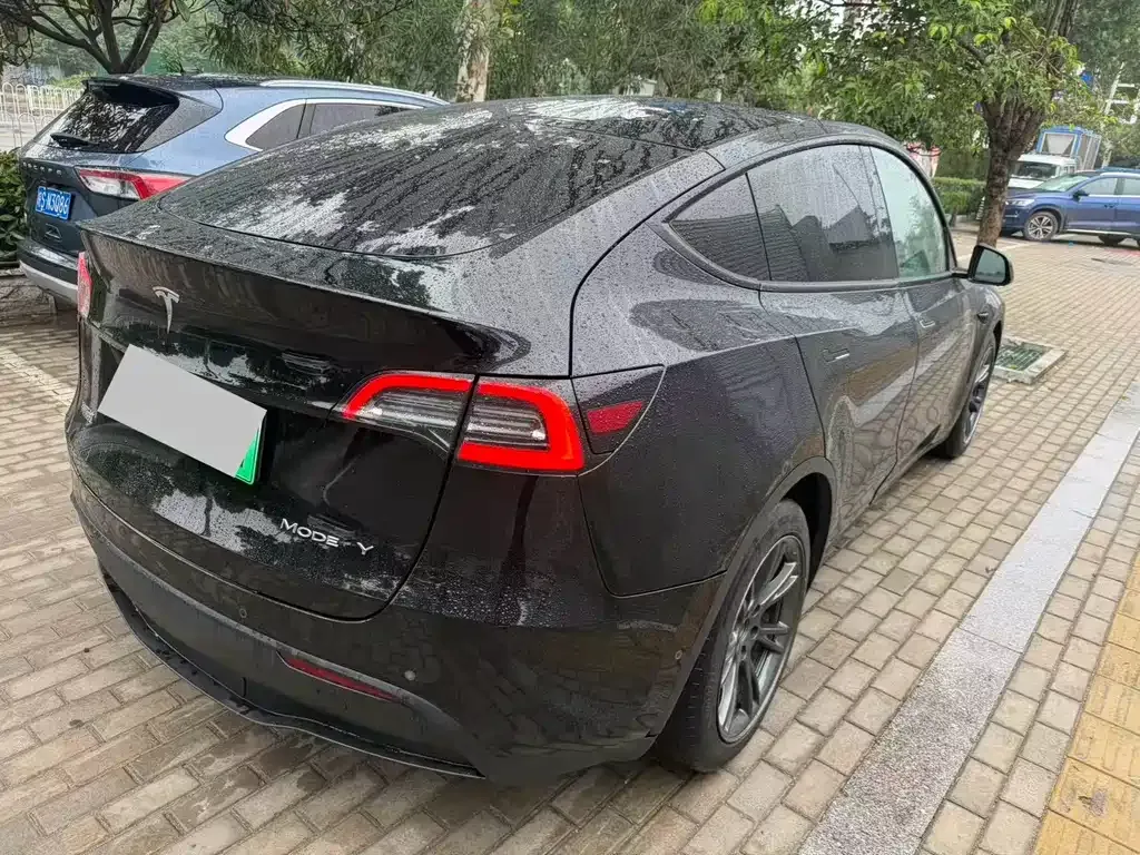 Tesla Model Y — фото 5