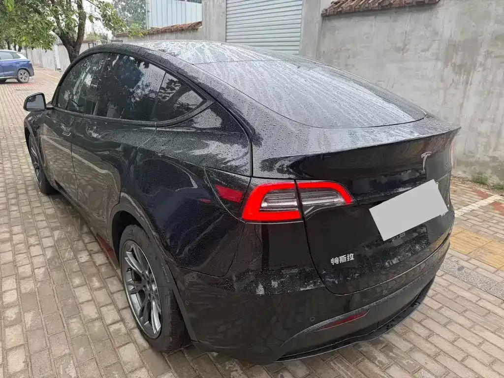 Tesla Model Y — фото 2