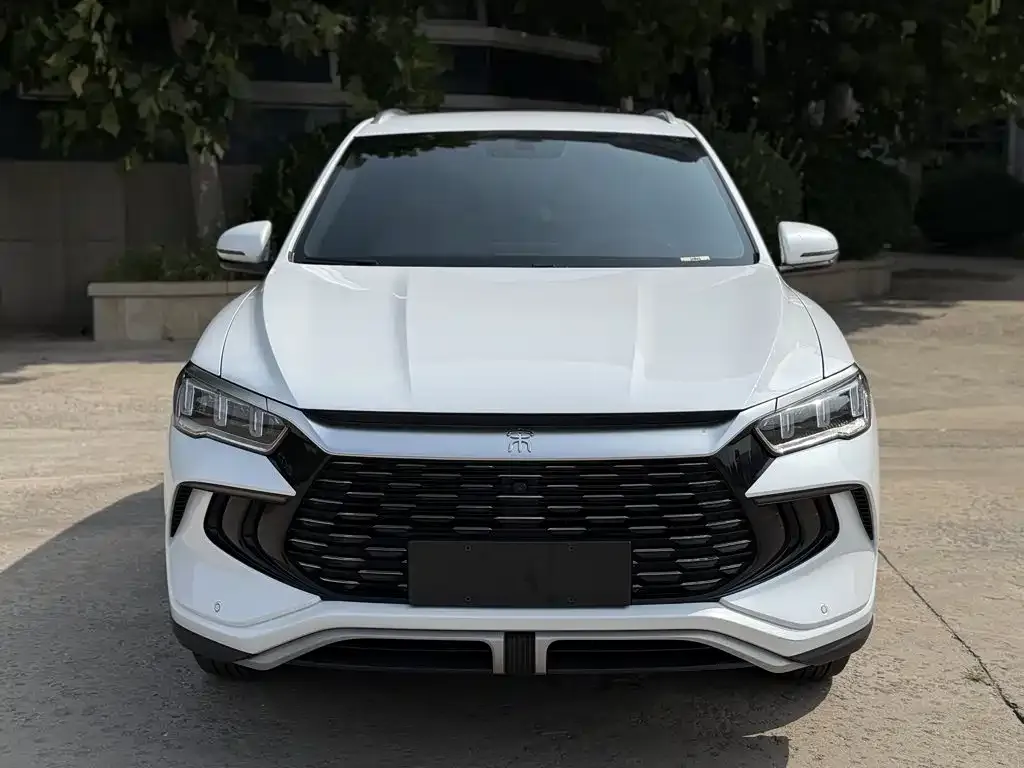 BYD Pro New Energy — фото 7