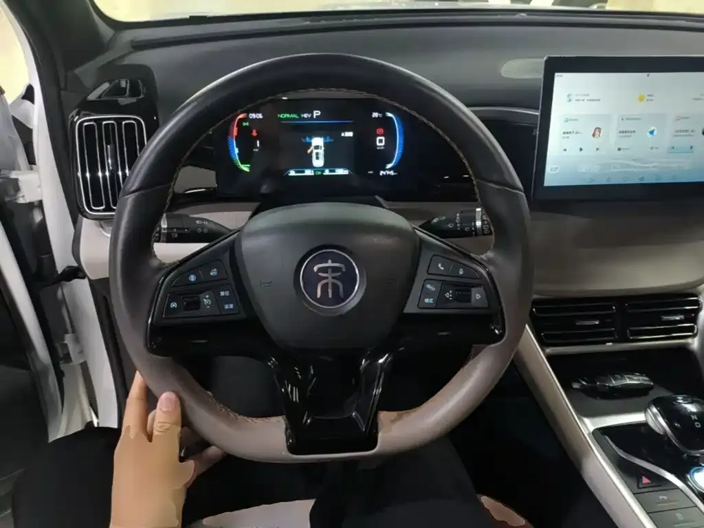 BYD Pro New Energy — фото 5