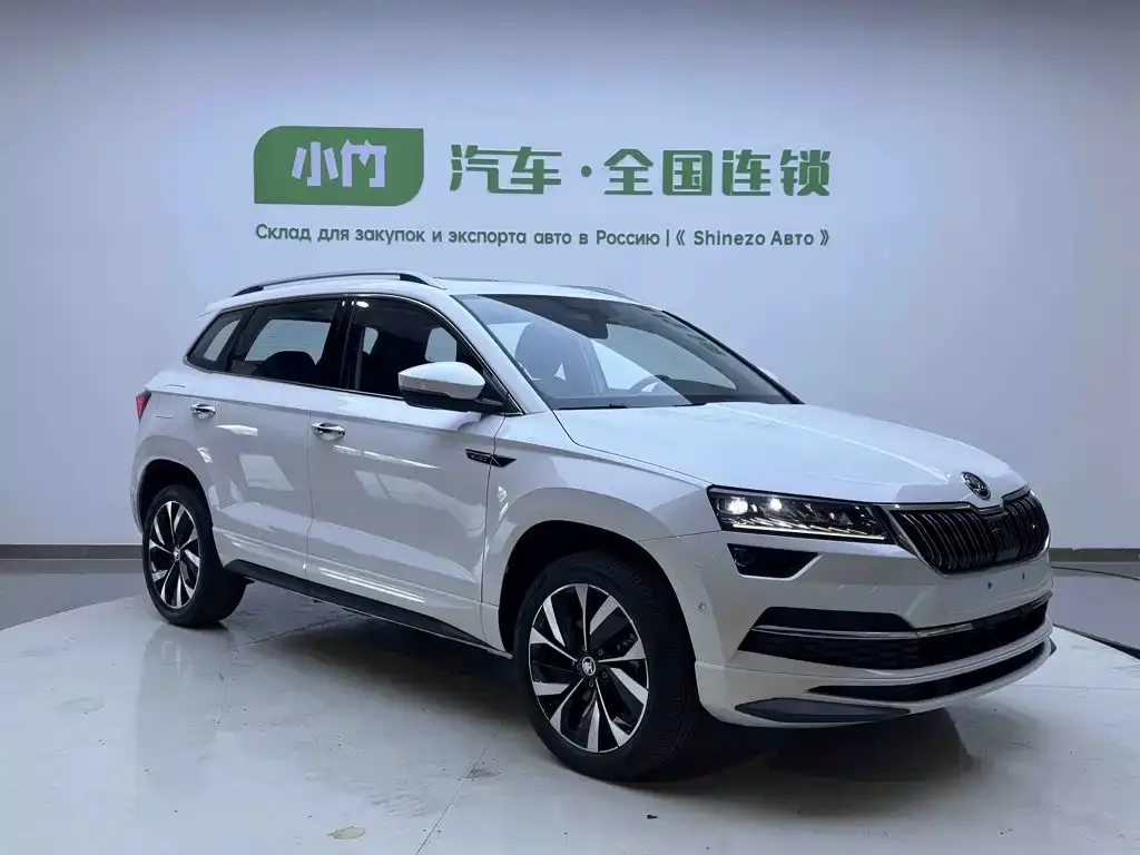 Skoda Karoq — фото 7