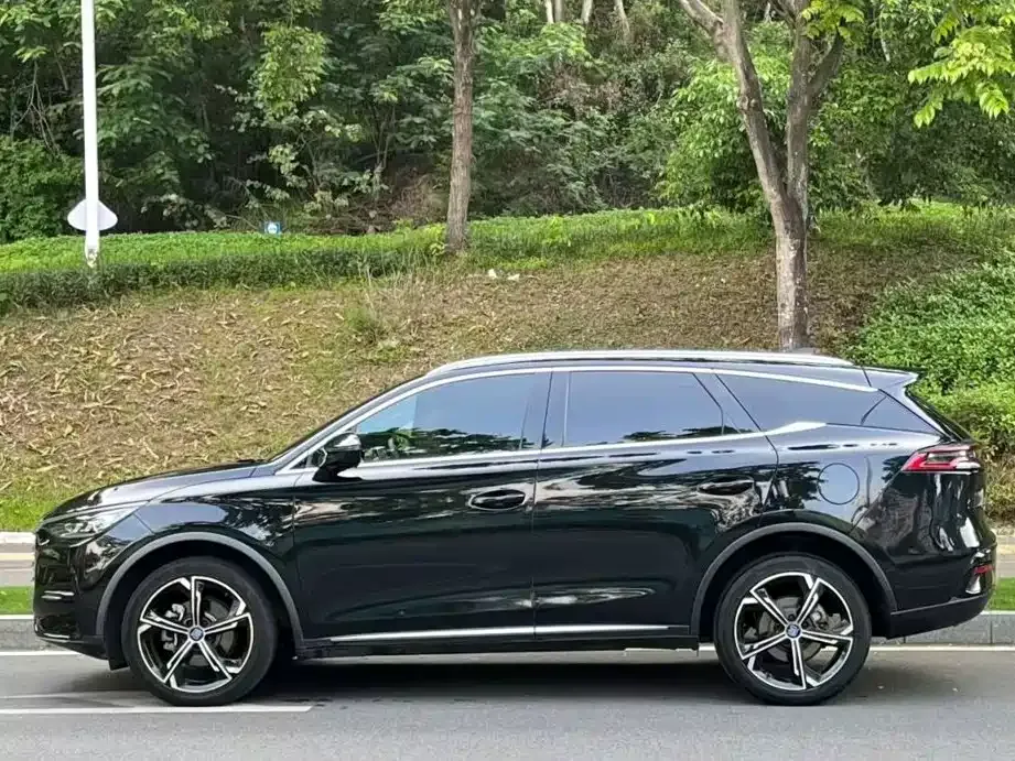 BYD Tang New Energy — фото 3