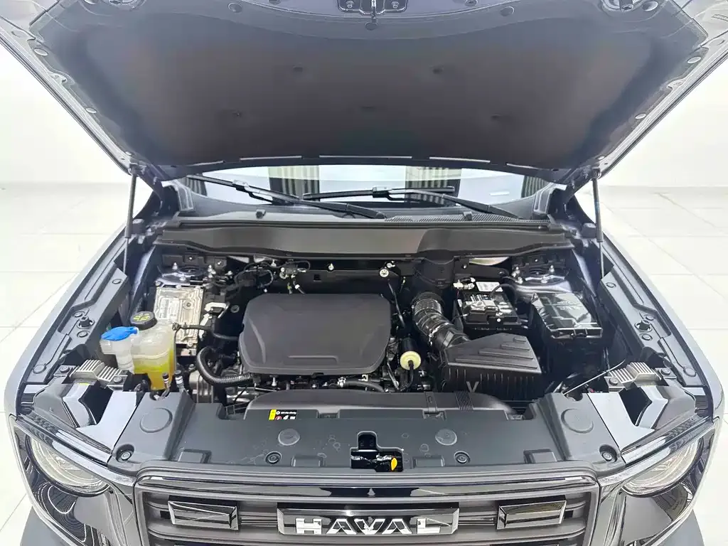 Haval Big Dog — фото 5